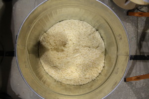 Wood shavings in a bin