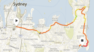 Read more about the article City2Surf 2018